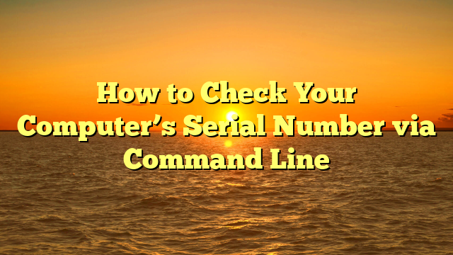 How to Check Your Computer’s Serial Number via Command Line