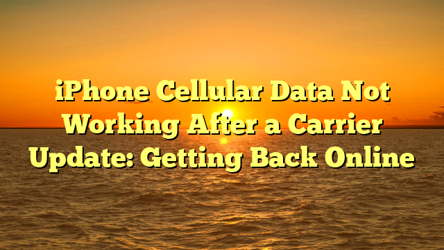 iPhone Cellular Data Not Working After a Carrier Update: Getting Back Online